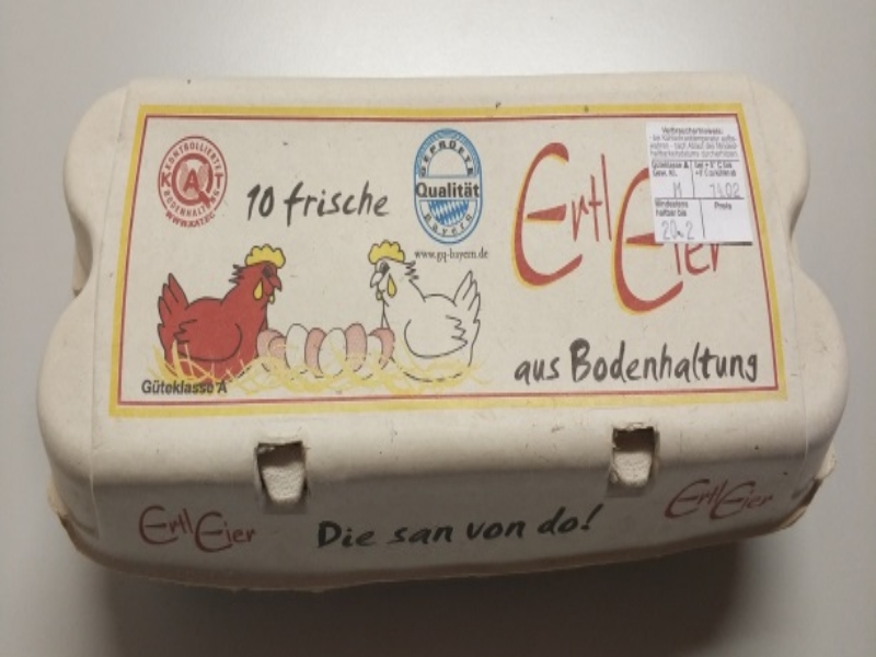 Uova contaminate da Campylobacter spp, nuova allerta in Europa per contaminazione microbiologica